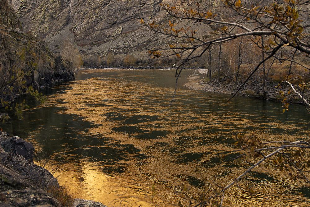 Золотой Чулышман