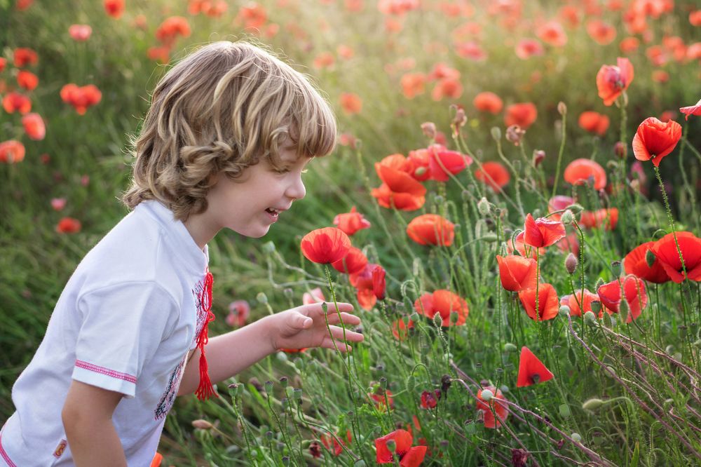 Фотография автора Анна Пикаленко