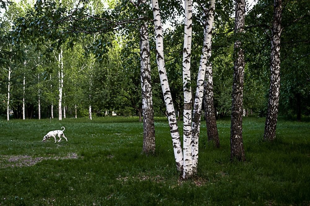 Фотография автора Екатерина Першина