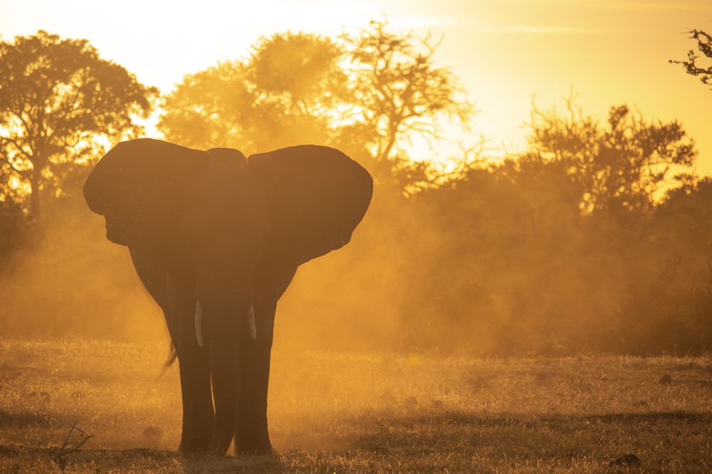 Photograph by Tshepo Phokoje