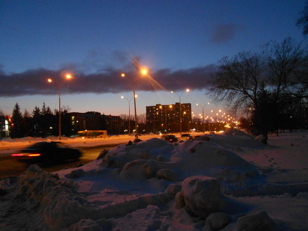 Фотография автора Любовь Панфилова