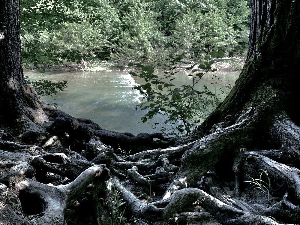 Photograph by Руслан Лукьяненко