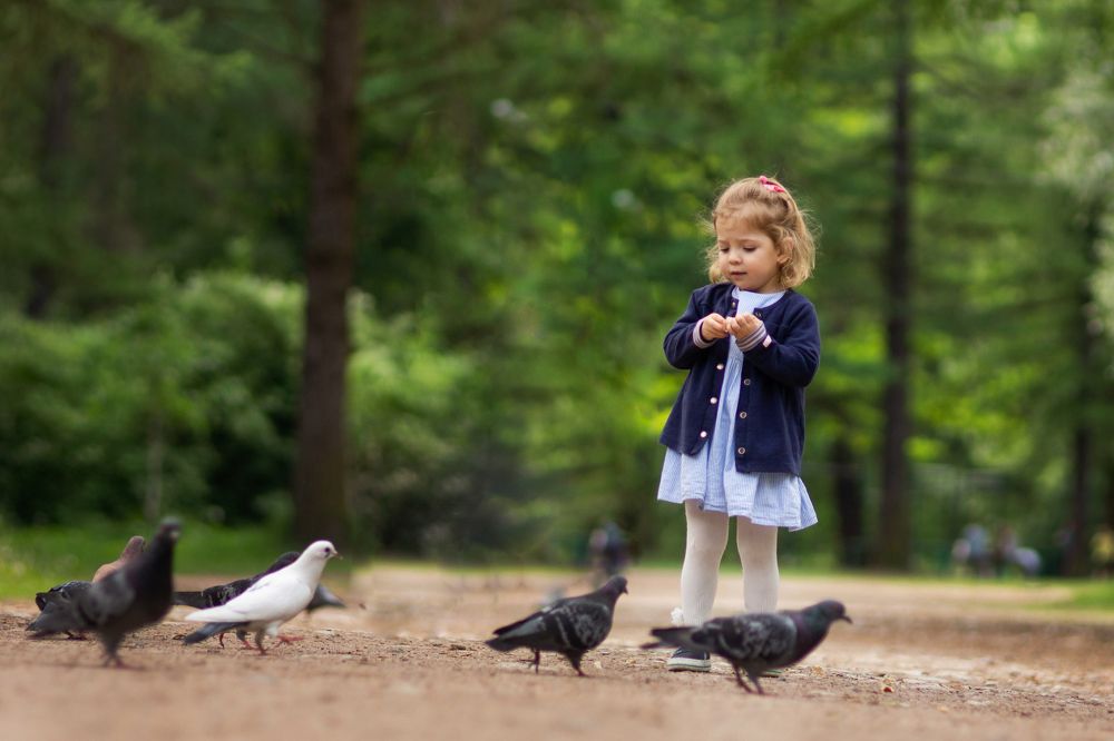 Фотография автора Людмила Коробова