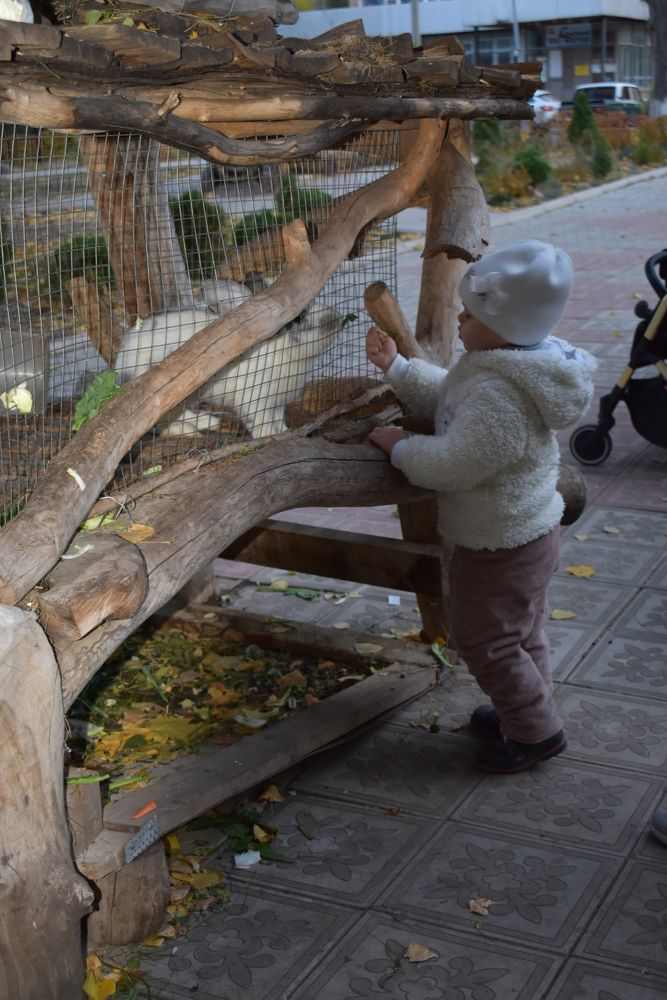 Фотография автора Любовь Панфилова