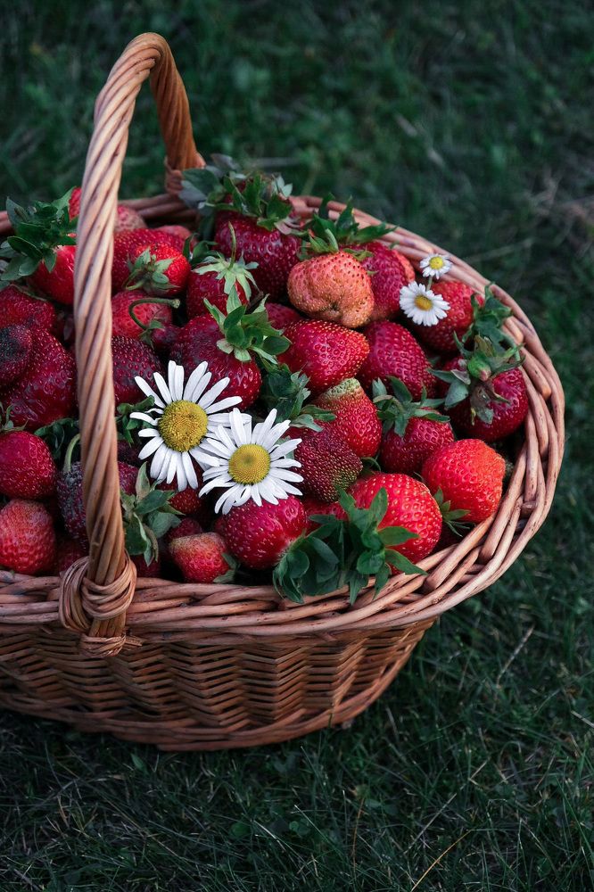 Фотография автора Анна Попова