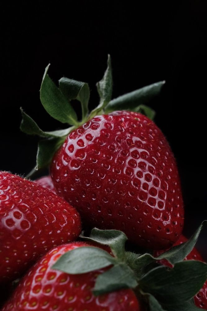 Фотография автора Анна Попова