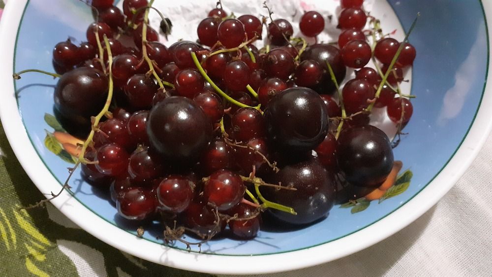 Фотография автора Елена Лещева