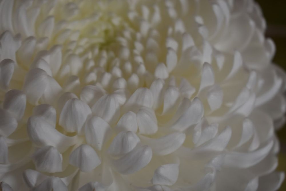 Фотография автора Любовь Панфилова