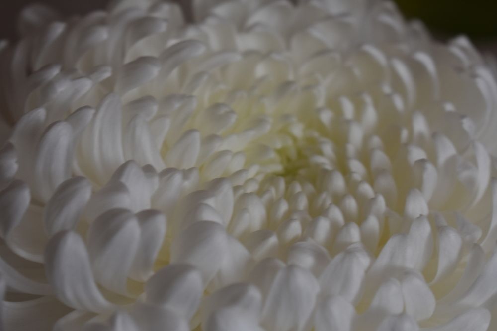 Фотография автора Любовь Панфилова