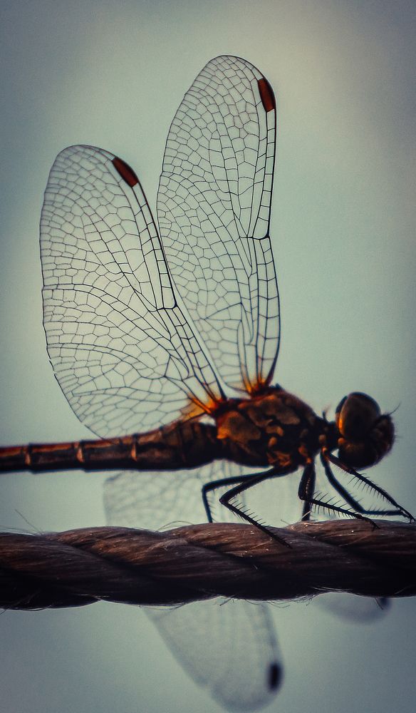 Фотография автора Андрей Потапов