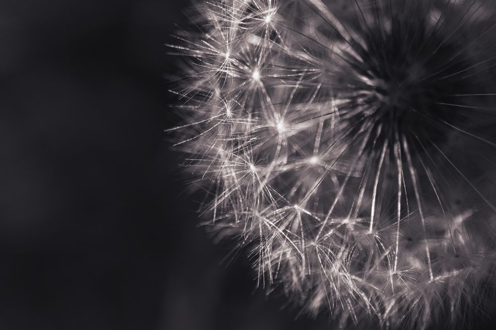 Photograph by Марина Баргетци