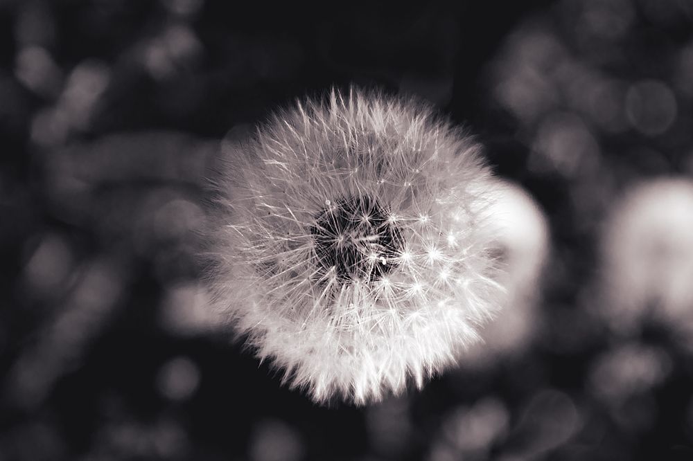 Photograph by Марина Баргетци