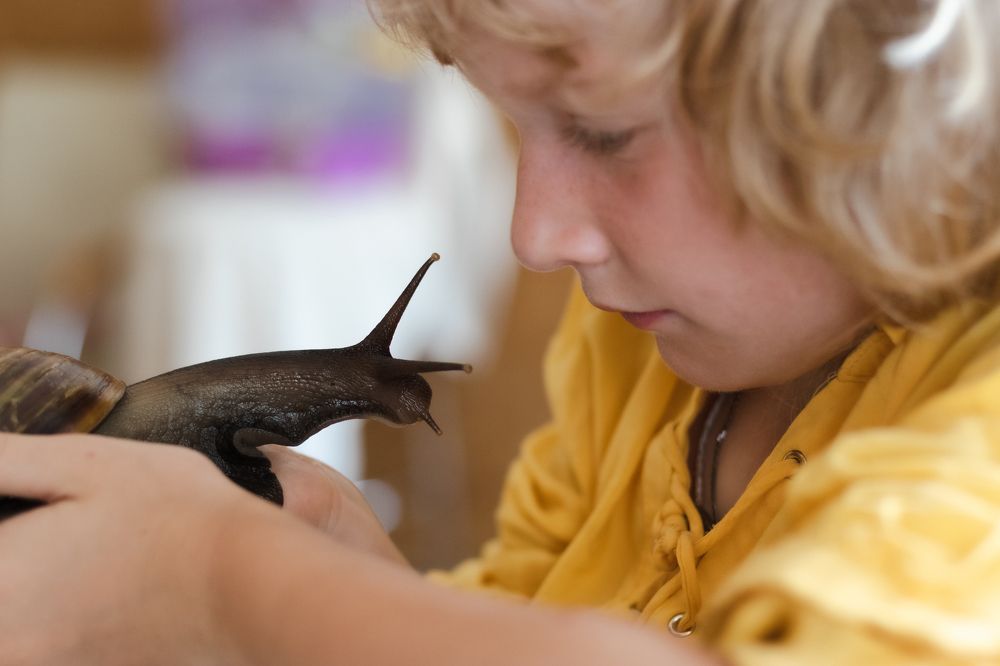 Фотография автора Виктория Балановская