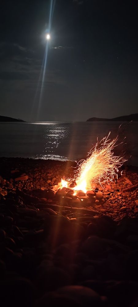 "Крыло феникса"