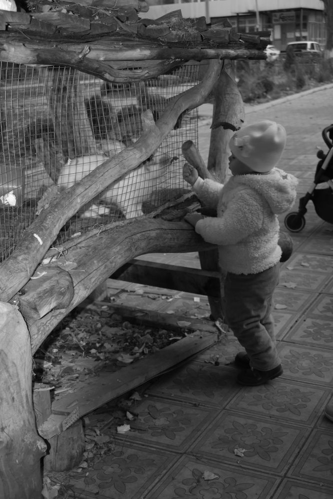 Фотография автора Любовь Панфилова