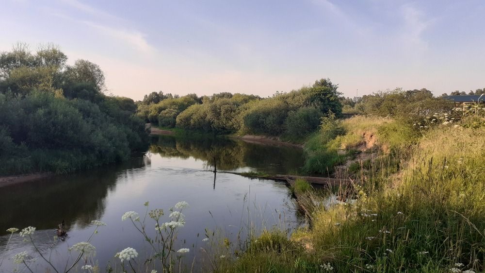 Фотография автора Елена Лещева