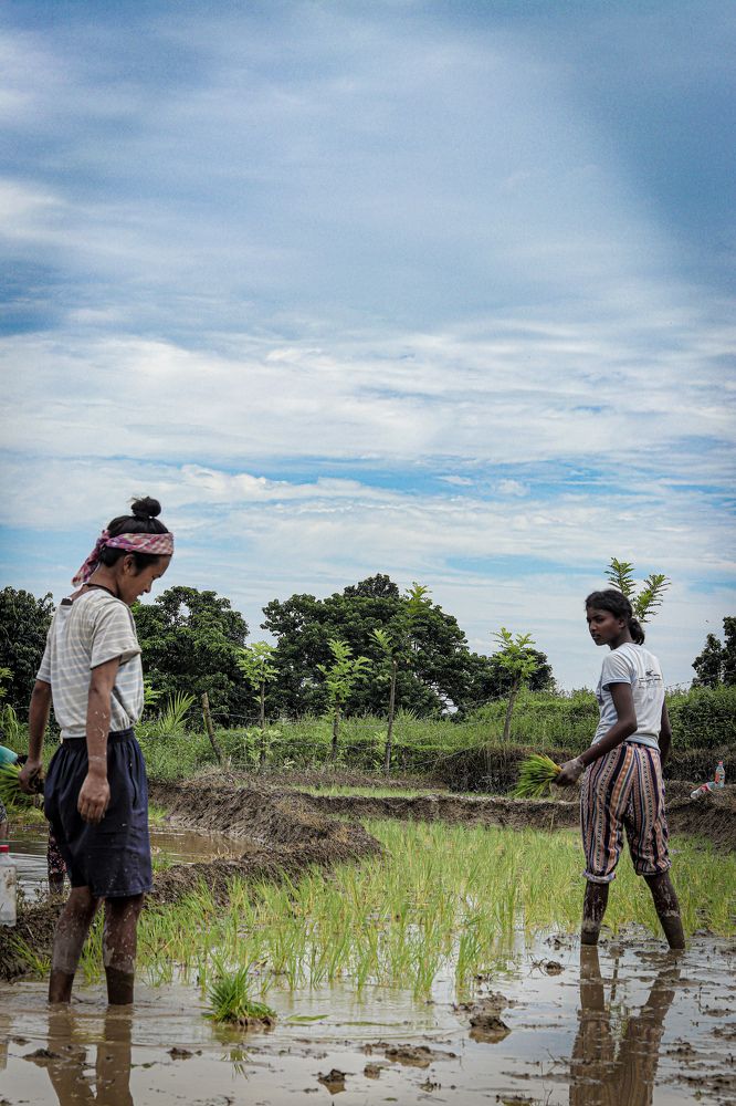Photograph by Kushyog Subba