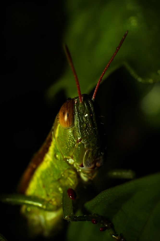 Photograph by Franco Sunny