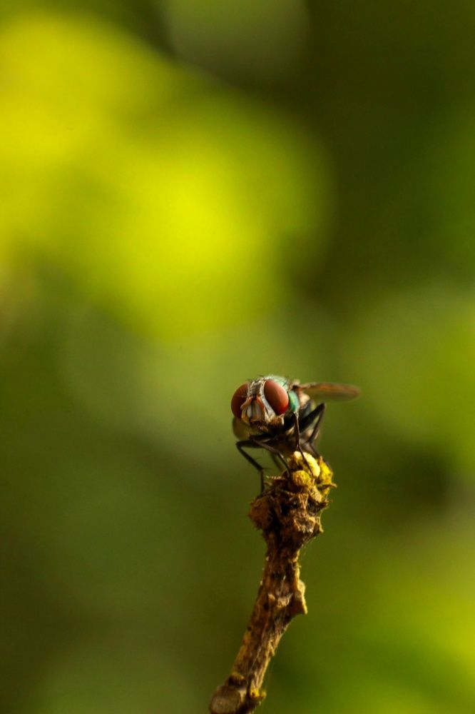 Photograph by Franco Sunny