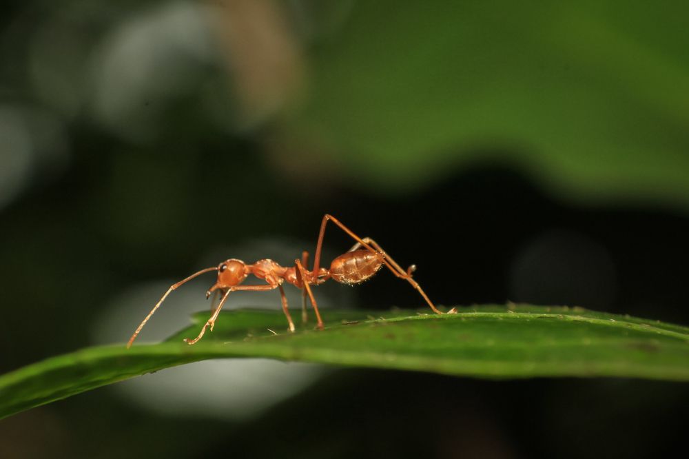 Photograph by Franco Sunny