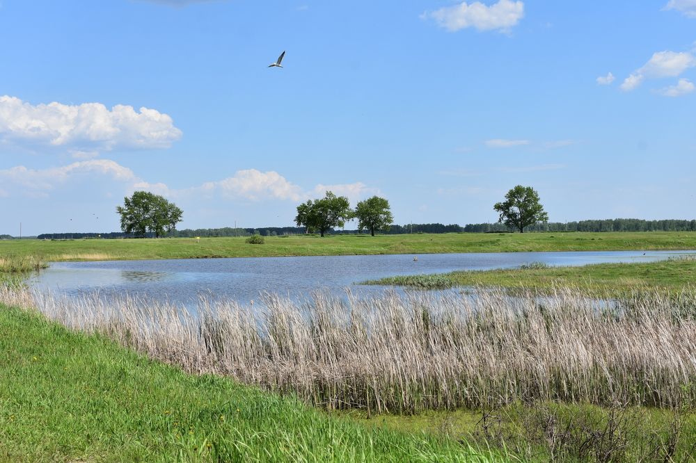 Photograph by Андрей_Юденков