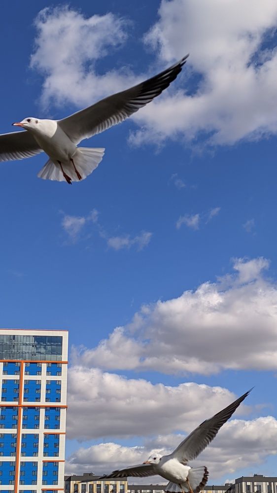 Photograph by Оксана Никулина