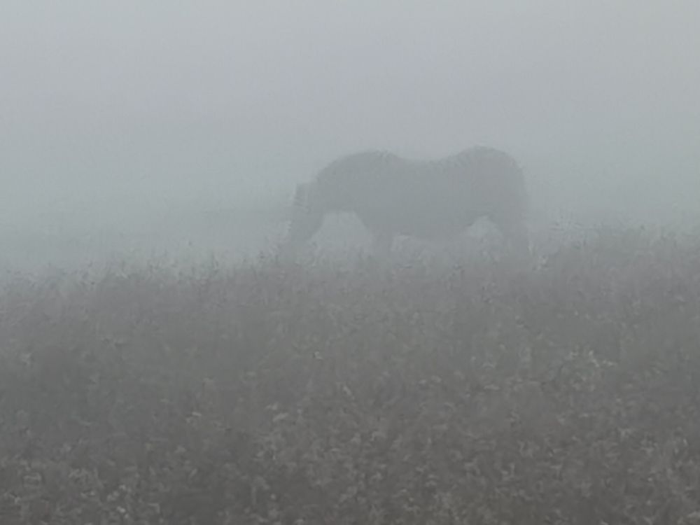 Литва. Сентябрь2021