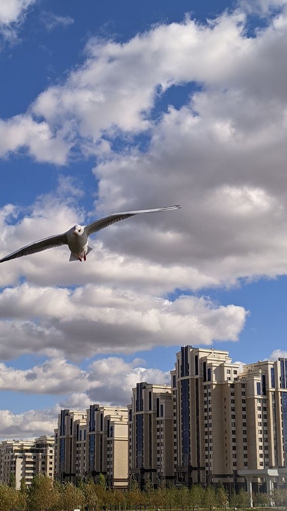 Photograph by Оксана Никулина