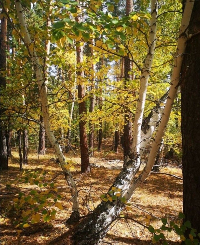 Photograph by Оксана Никулина