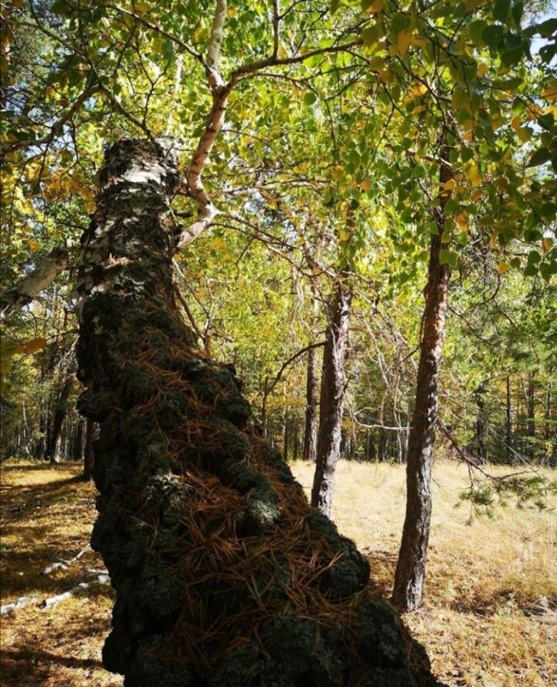 Photograph by Оксана Никулина