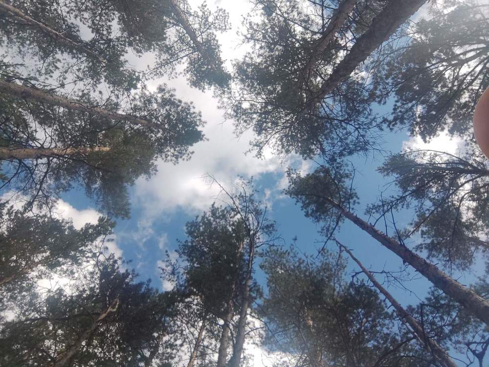 Photograph by Оксана Никулина