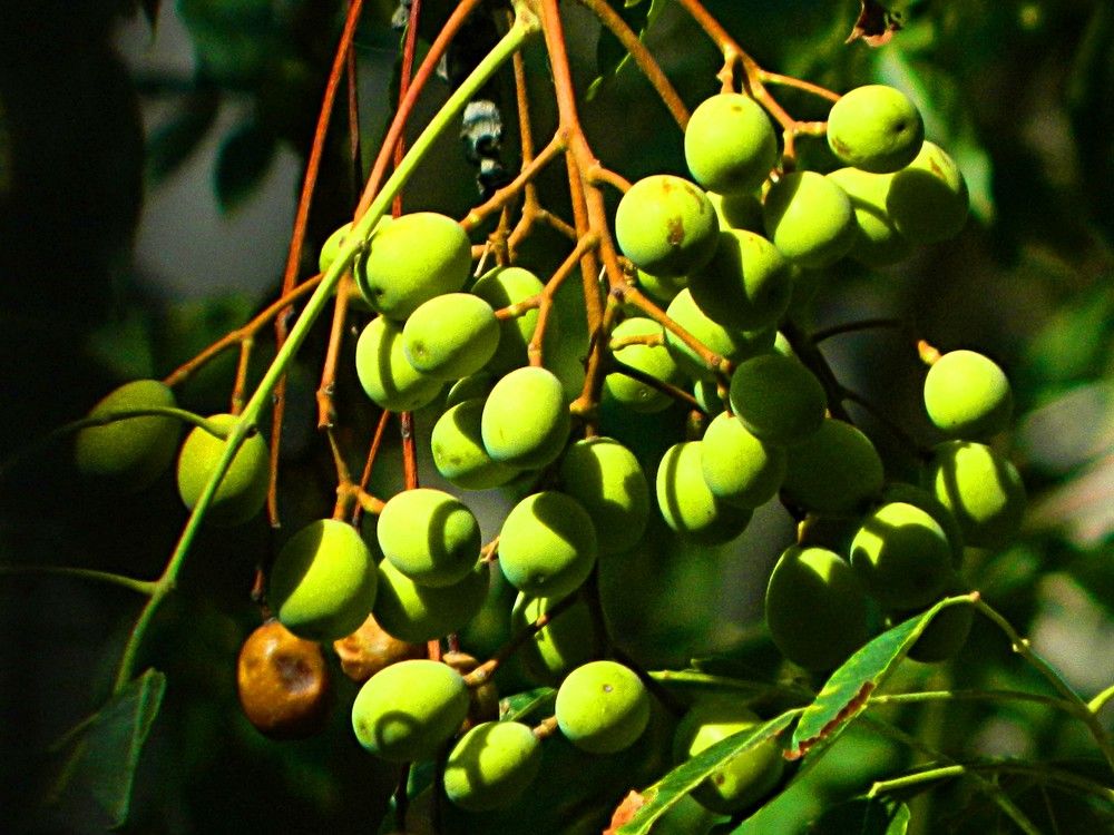 Фотография автора Сергей Рапопорт