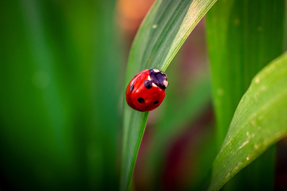 Photograph by Артём Буц