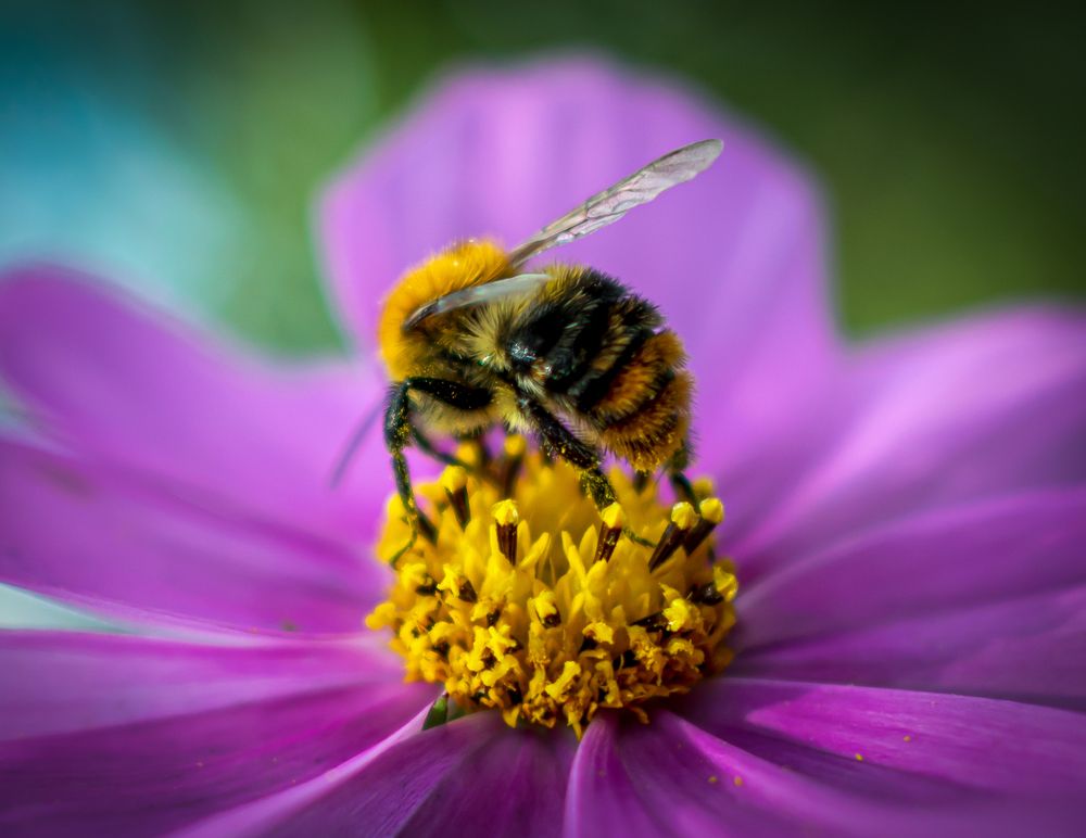 Photograph by Артём Буц