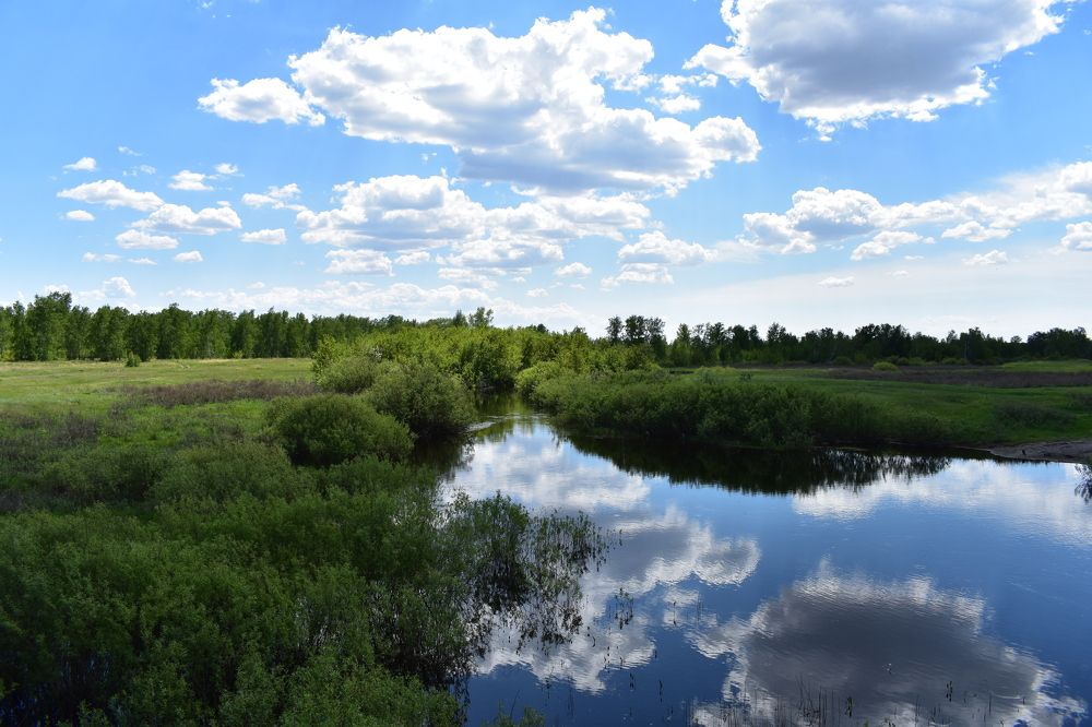 Photograph by Андрей_Юденков