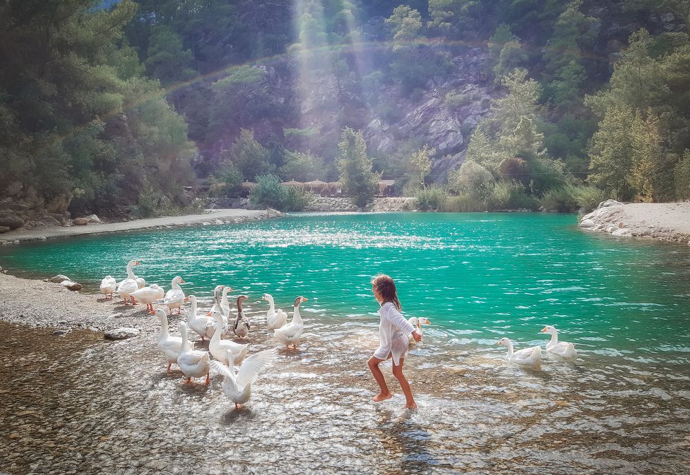 Фотография автора Анна Пикаленко