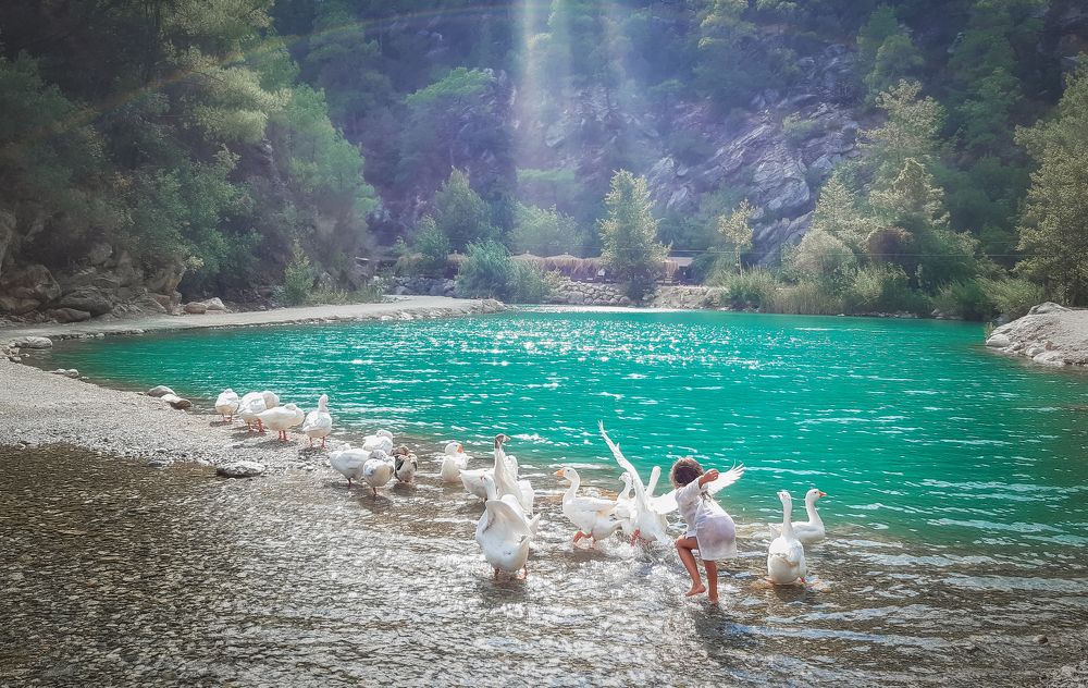 Фотография автора Анна Пикаленко