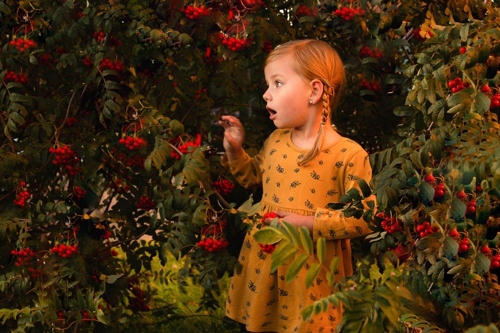 Photograph by Изабелла Нечаева