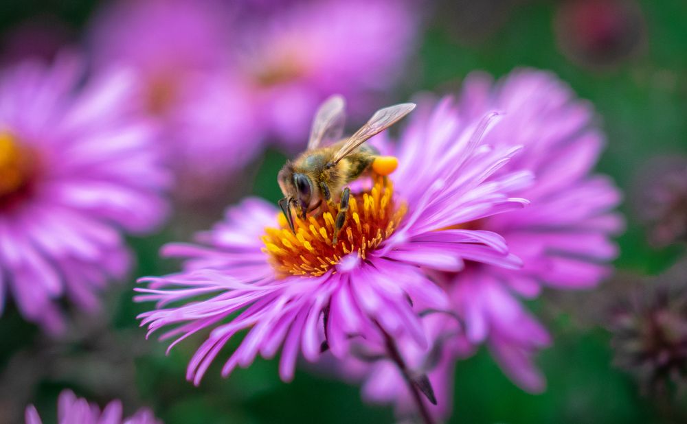 Photograph by Артём Буц