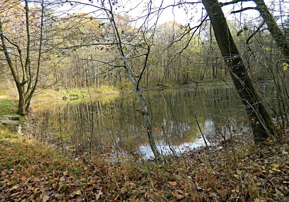 Фотография автора Сергей Рапопорт