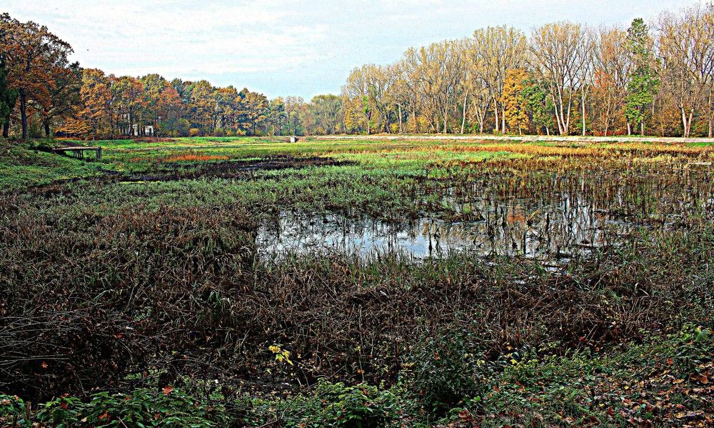 Фотография автора Сергей Рапопорт