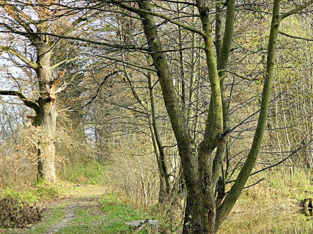 Фотография автора Сергей Рапопорт
