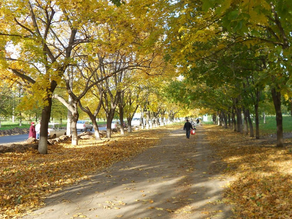 Фотография автора Любовь Панфилова