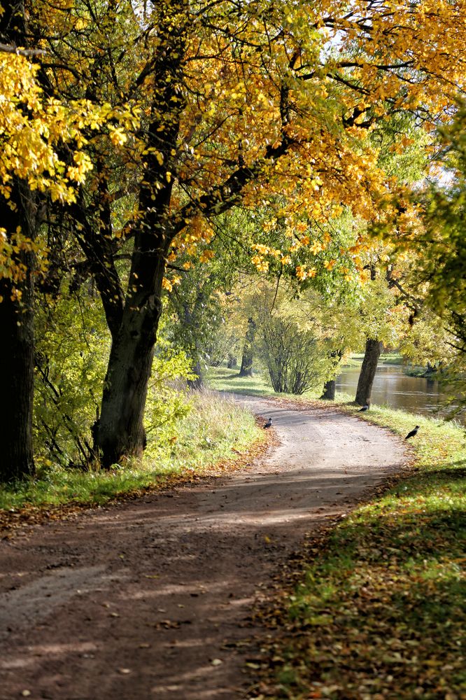 Photograph by Ирина Гентош