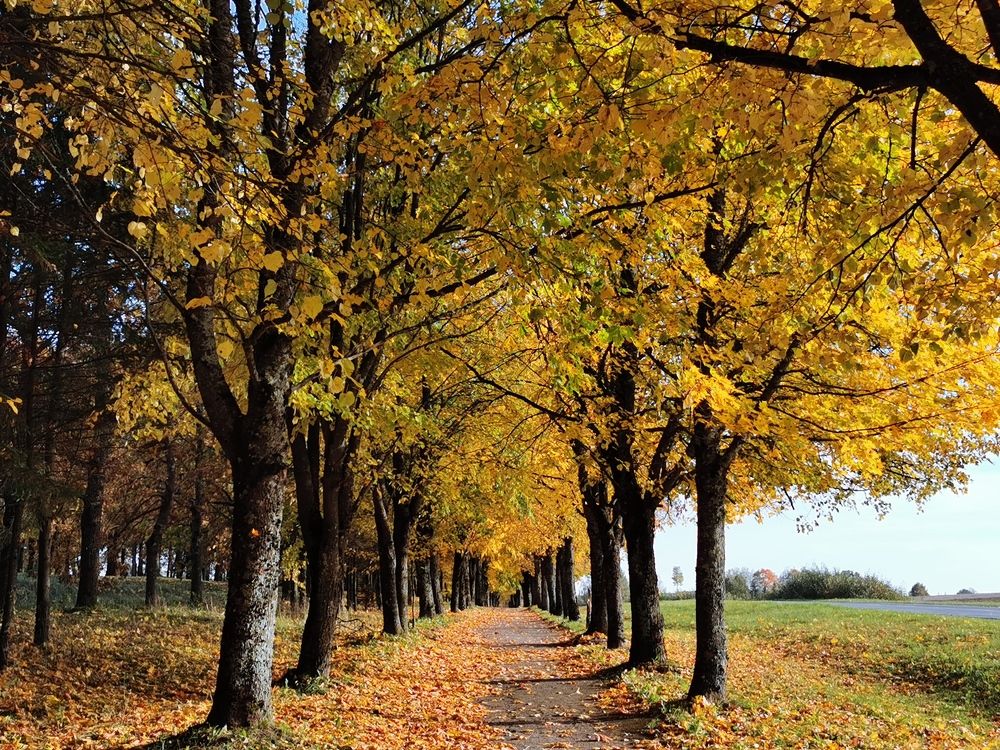 Фотография автора Рутковская Жанна