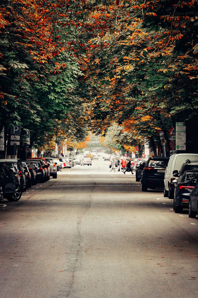 Фотография автора Андрей Потапов