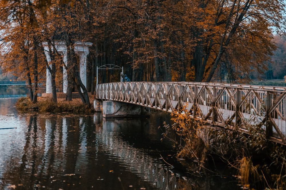 Фотография автора Валерия Афонасьева