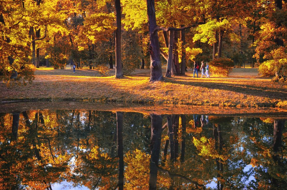 Фотография автора Юлия Широкова