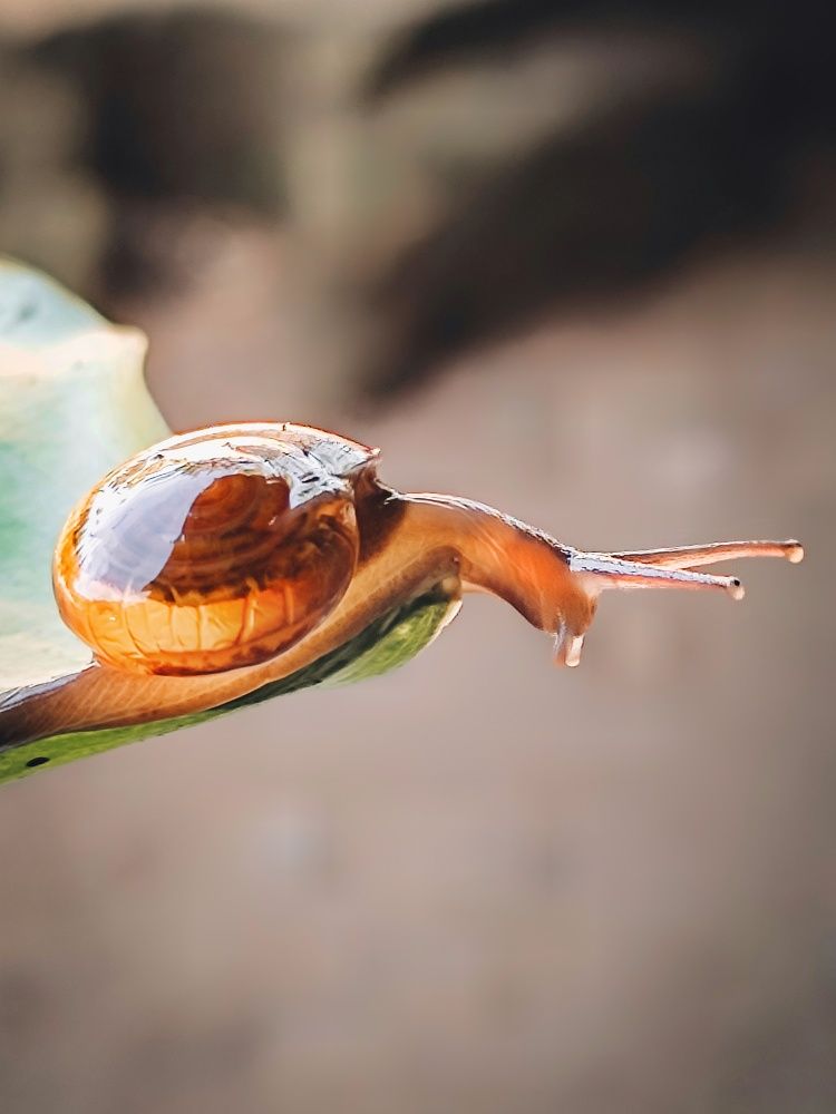 Photograph by James Basil