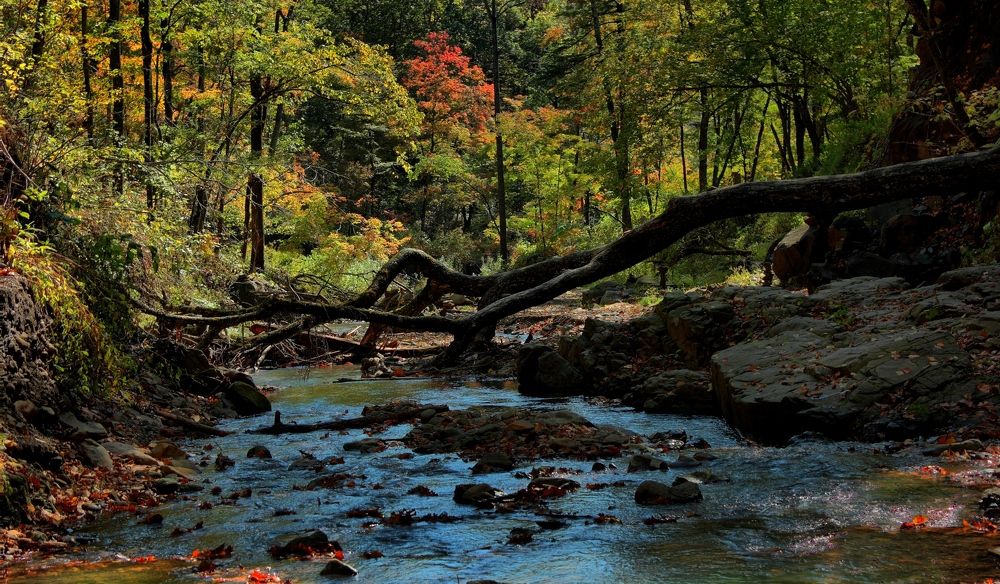 Фотография автора Валерий